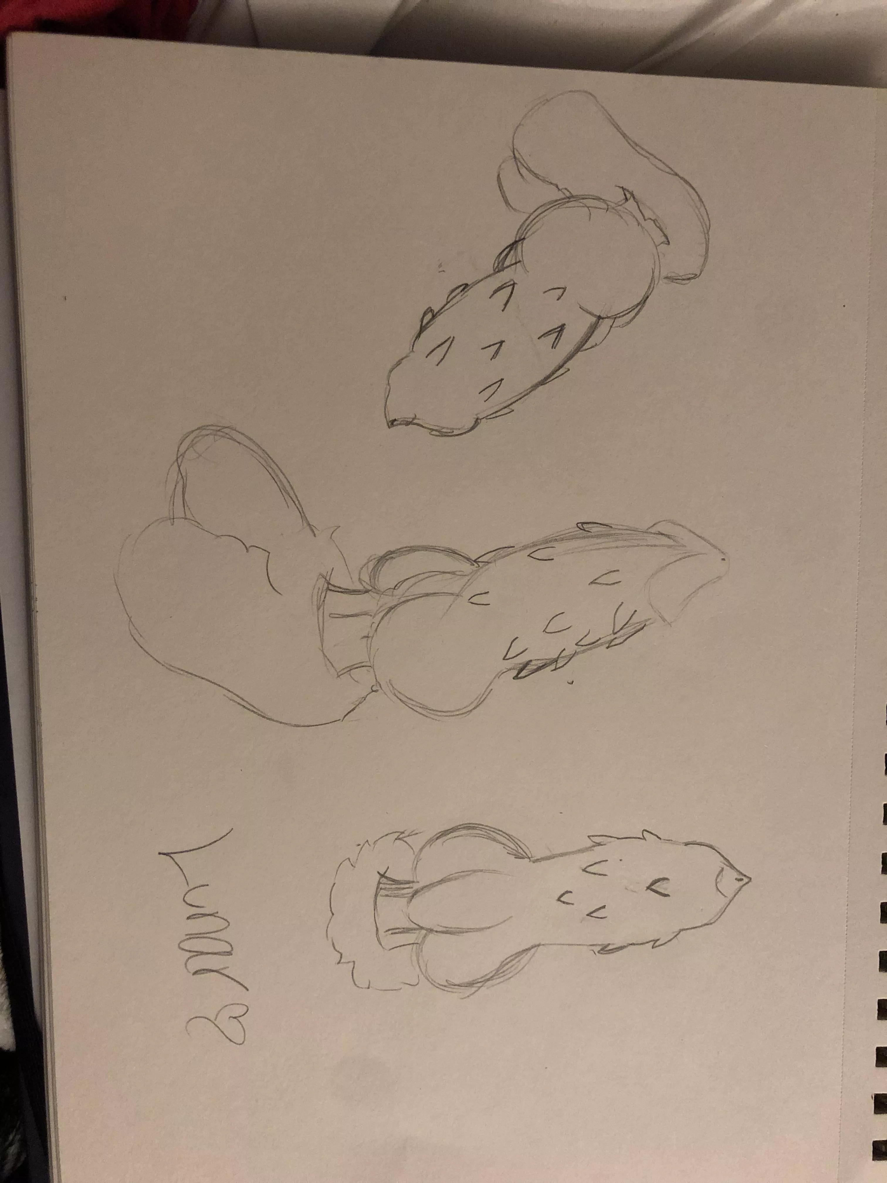 Just some sketches I made (Artist:Me)