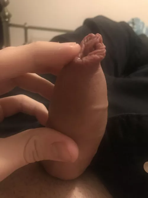 Just starting to glisten a little. ✨