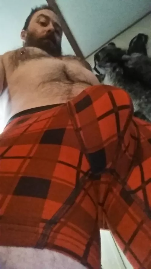 Just waiting to put this wood to work