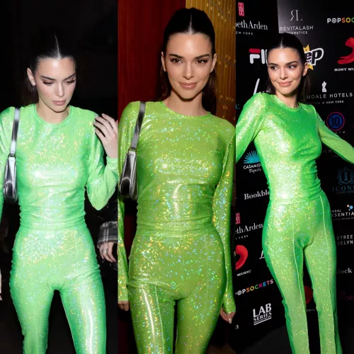 Kendall Jenner’s phat pussy