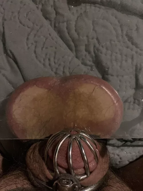 Kept forgetfully touching myself in chastity after it had been disallowed. Ball crushing for punishment