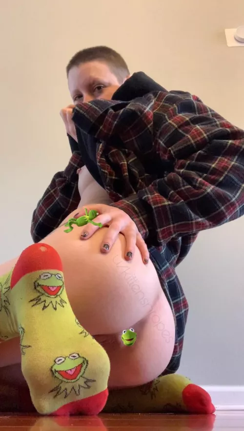 Kermit the Frog here! 🐸 Would you fuck my ass if I wore my fun socks?