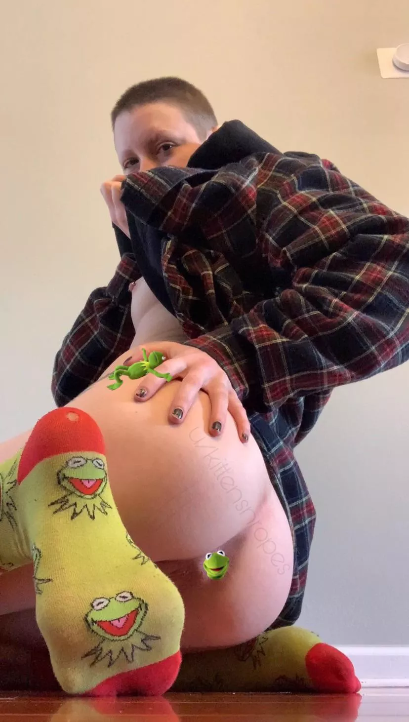 Kermit the Frog here! 🐸 Would you fuck my ass if I wore my fun socks?