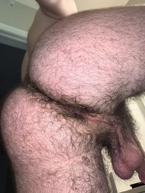 Kiss my hairy man ass