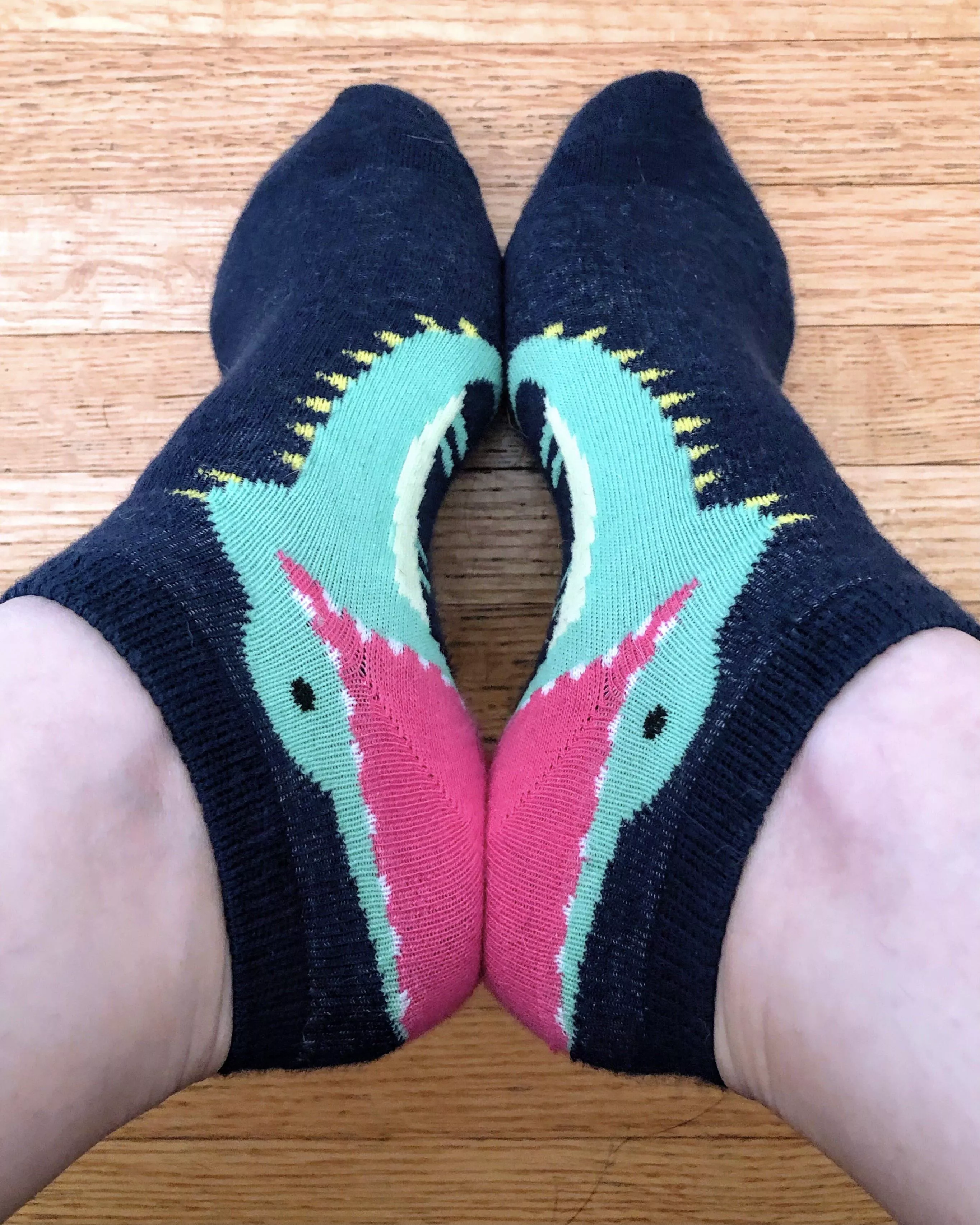 Kissy Alligators 🐊 Kissy Alligators 🐊