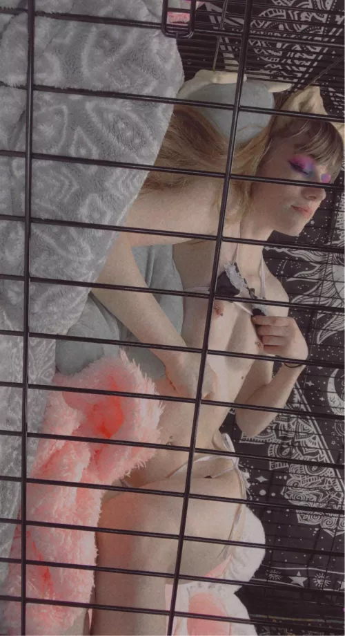 Kitten taking a cat nap🐱💖