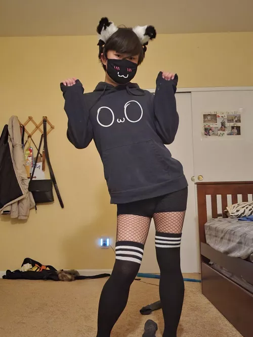 Kitty cat want headpat!