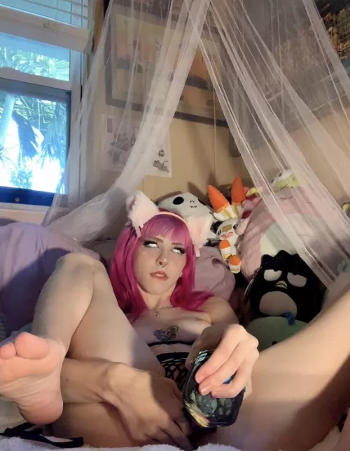 kitty goes to another dimension