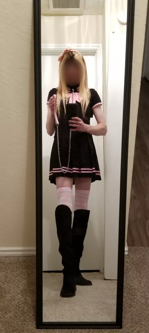 Kitty is all ready for her walk. 😘