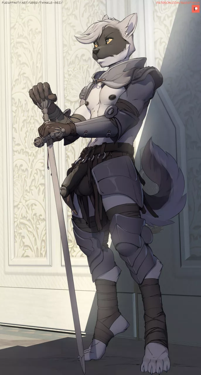 Knight in Shining Armour (Twinkle-Sez)