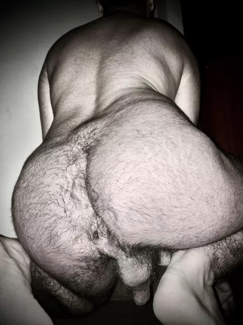 known for their hirsute rears