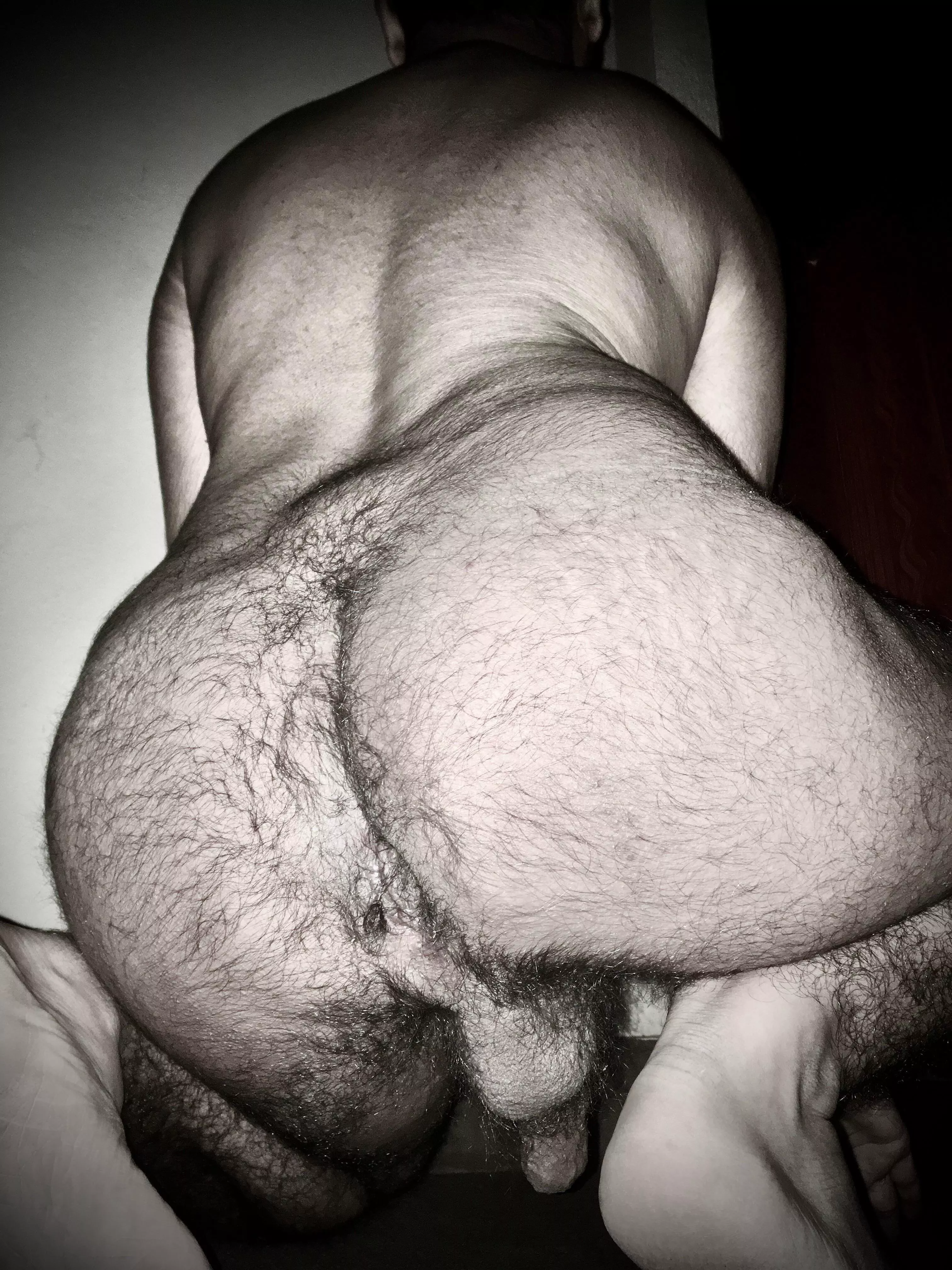 known for their hirsute rears