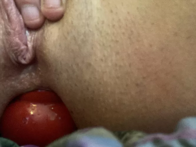 Kong toy? I’m doing my best