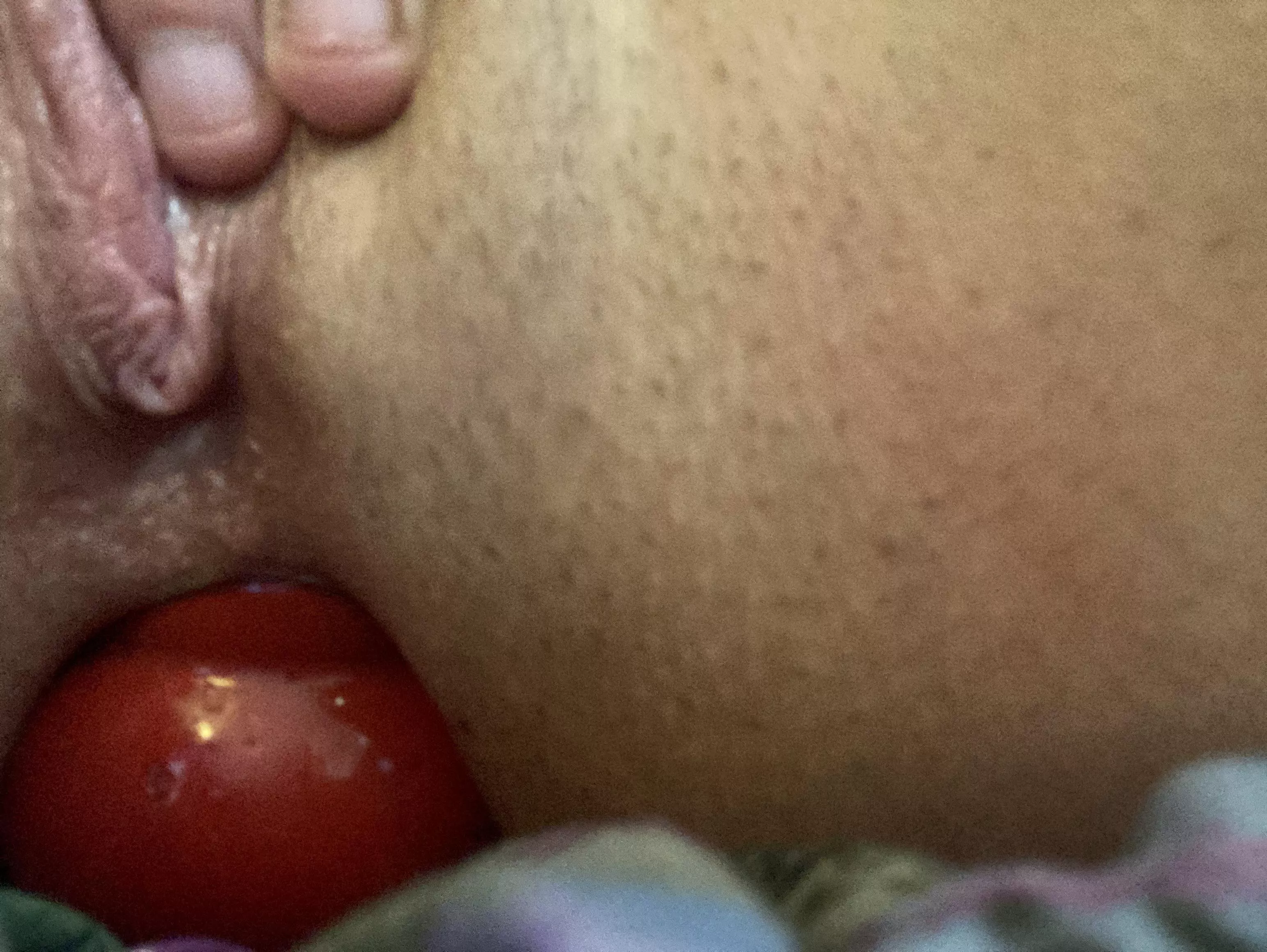 Kong toy? I’m doing my best