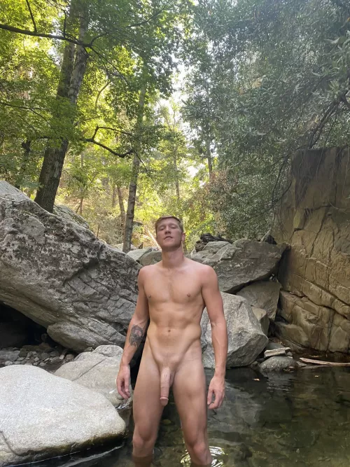 Large hot cock in nature.