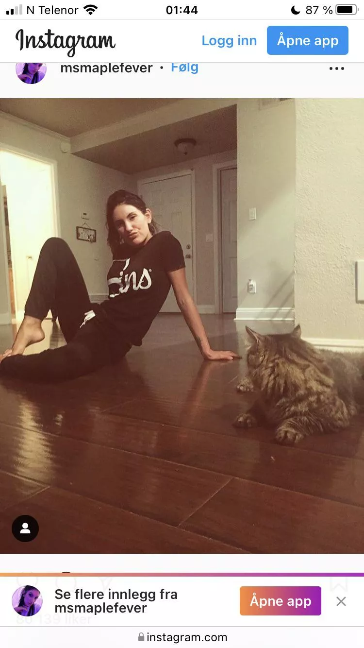 Last photo December 4th 2017