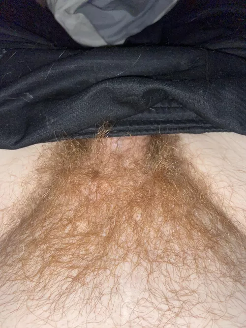 Late bloomer here from Alabama. Older men DM.