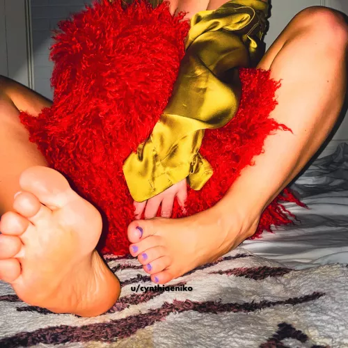 Laying at My feet looks like….