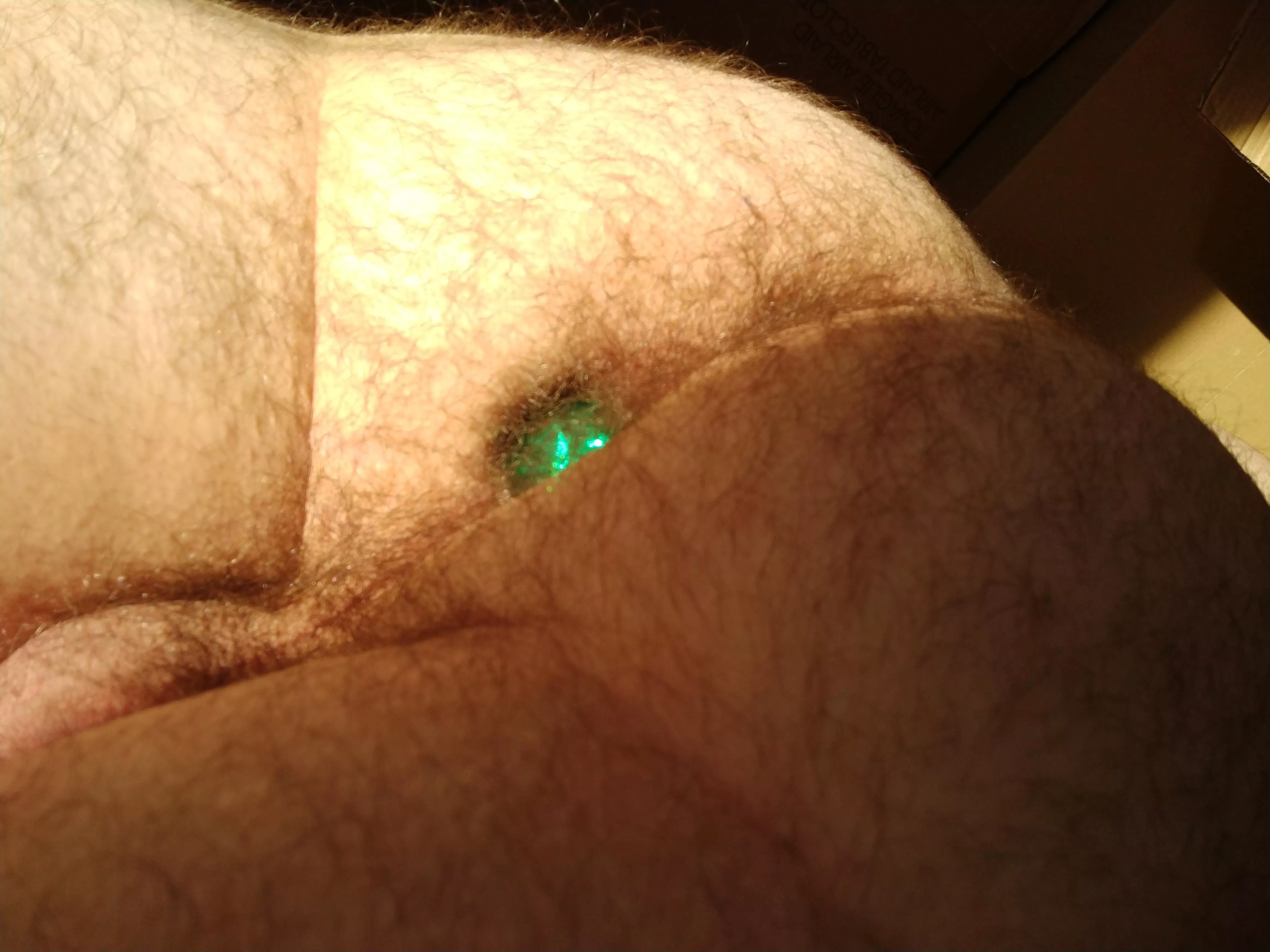 Laying in the sun in front of my open window, hope the neighbors get a good show✨