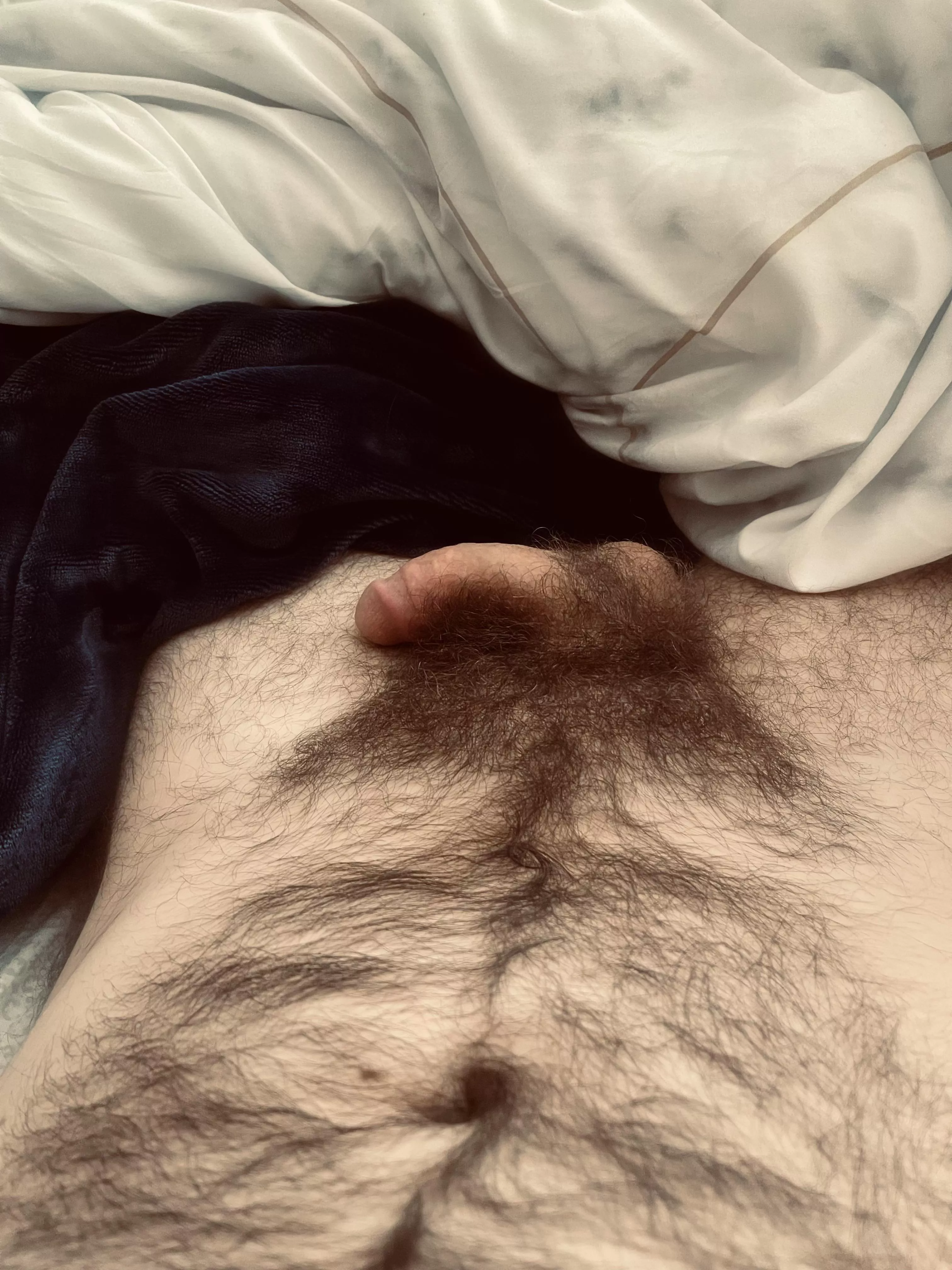 Lazy day… do you approve of my bush?