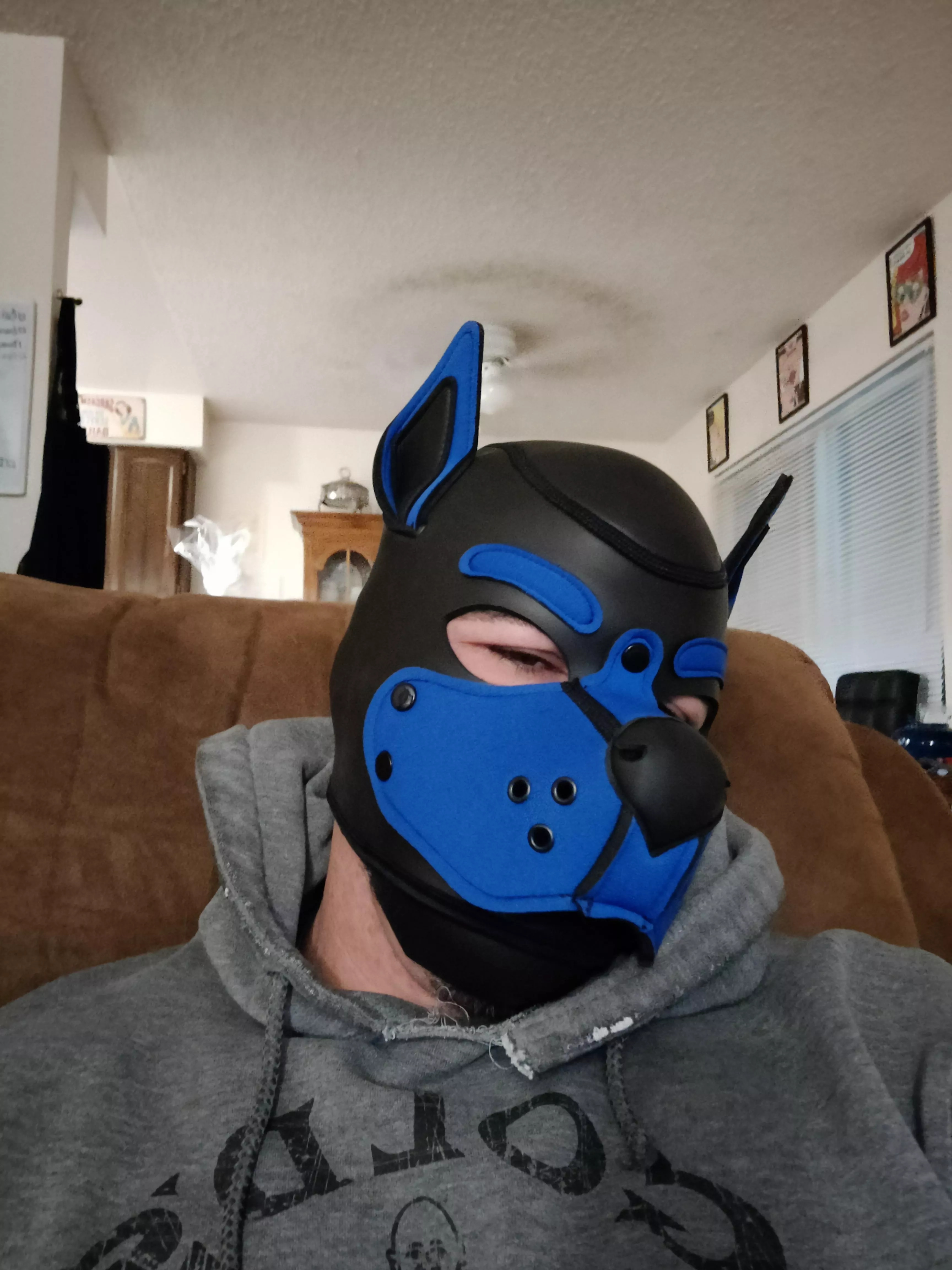 Lazy Monday at home sick 😬