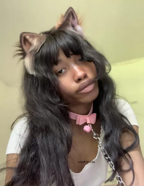 leash trained kitty 💗🐈‍⬛