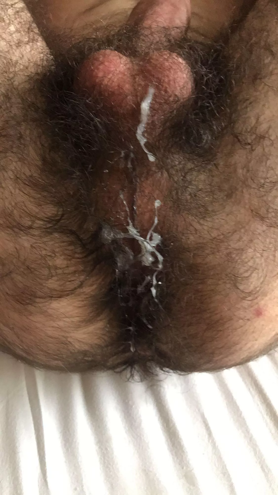 Leave your load on my hairy ass.