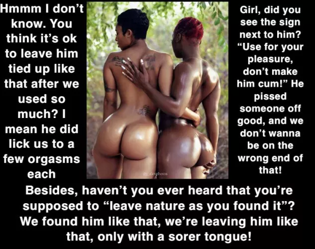 Left tied up in the woods