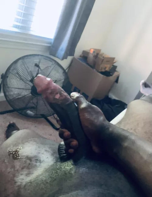 Lemme seize your assetsπ¦