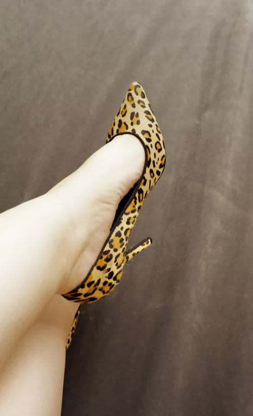 Leopard print everyday 😝