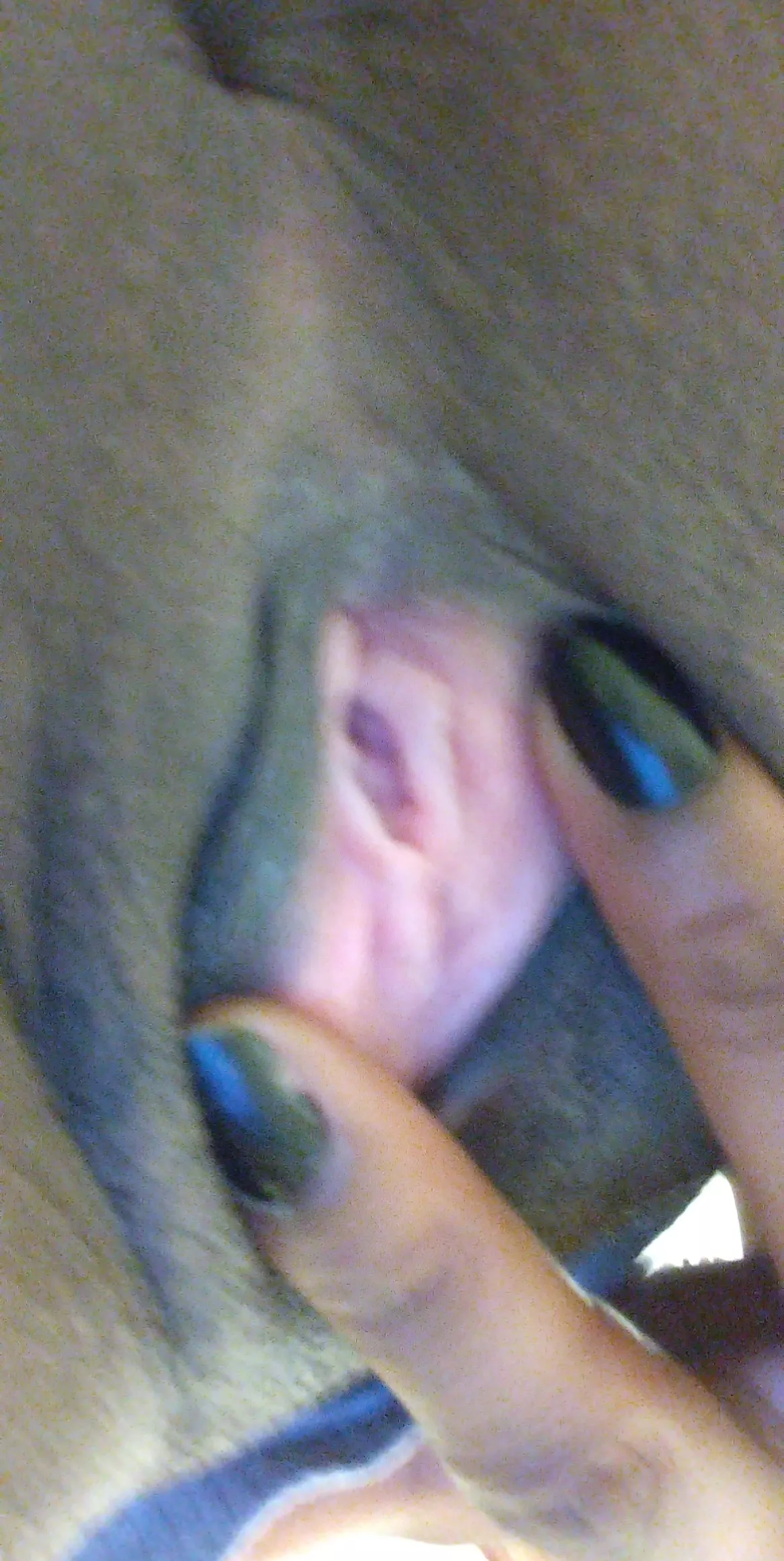 Let me cum on your face 🥵🤤💦