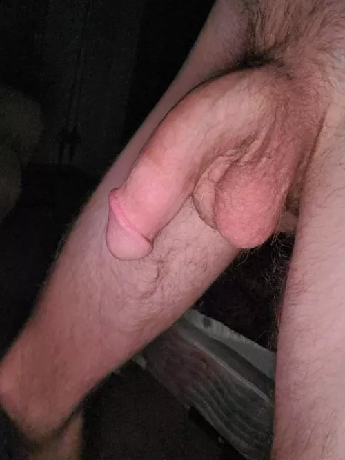 Let me know what you think and if you’d like to see more!