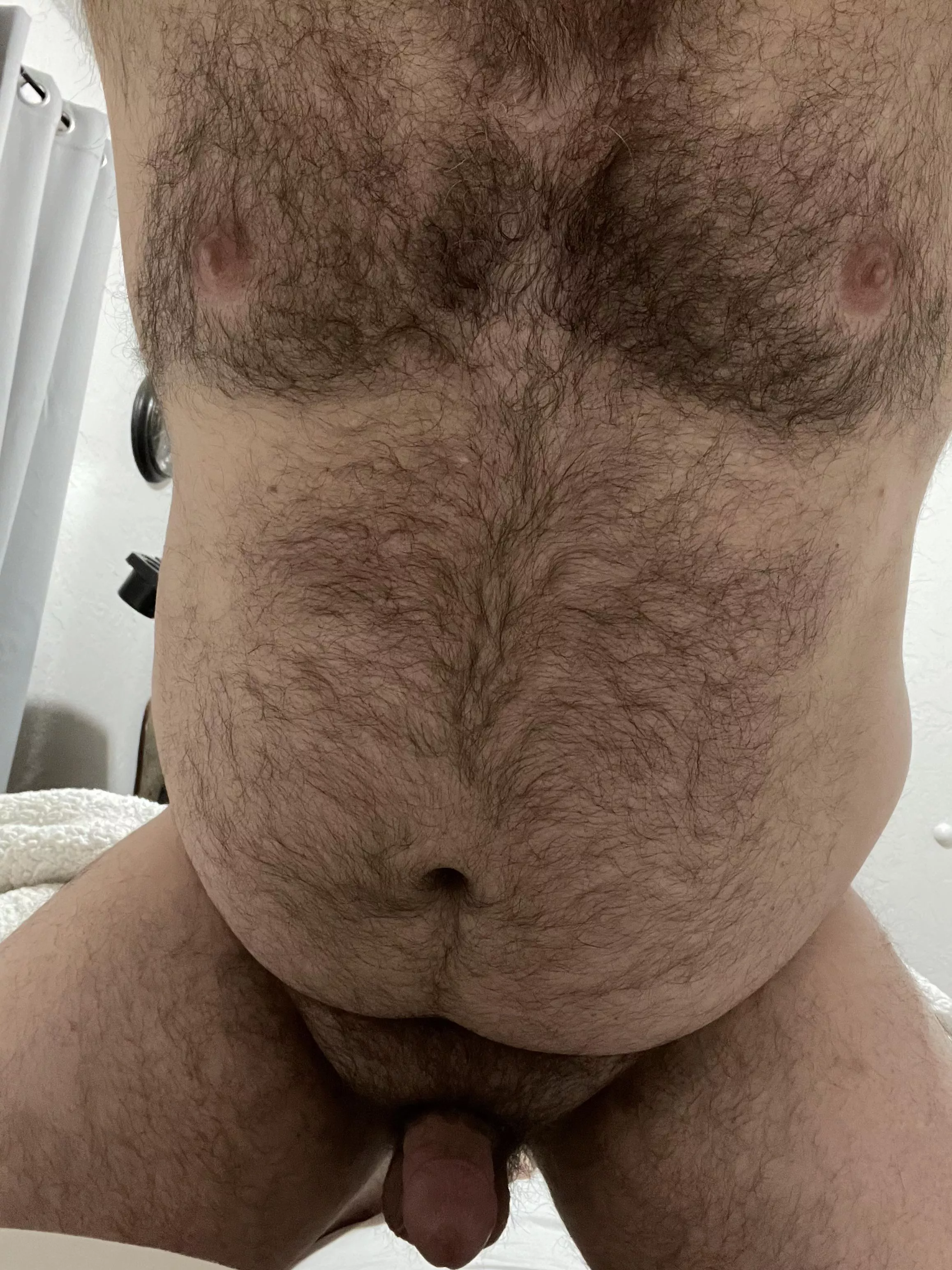 Let me ride your cock!