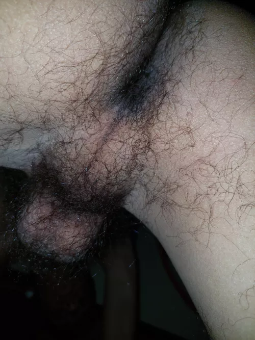 Let me see sit on your face