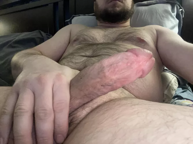Let my beard tickle your thighs as you suck me