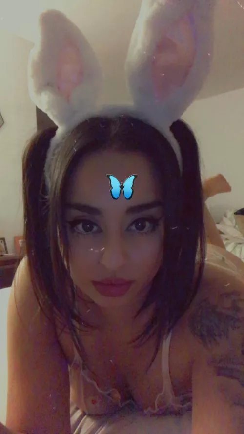 Let you bunny out her cage, she wants to play! 🐰💕🥺