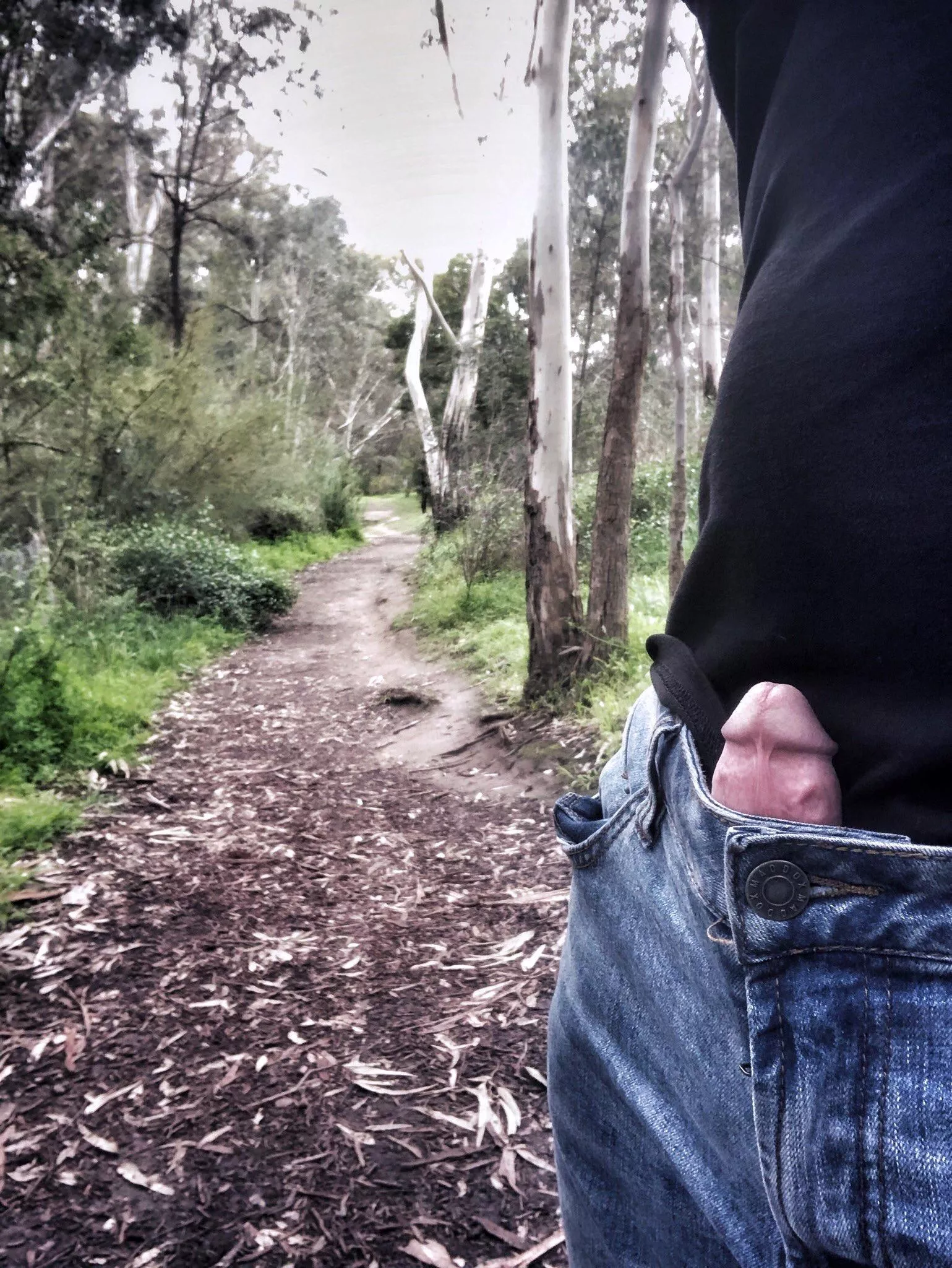 Let’s take a walk, you and [m]e