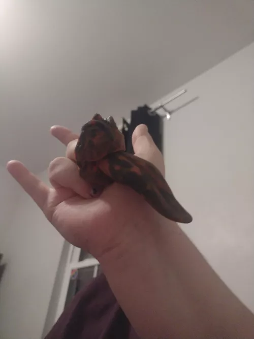 Let's talk Lil vibes. So I just received my Winston's tongue lil vibe in the mail today, and I've been trying to get my hands on another, since they're like my favorite toys, and I can't seem to find them anywhere. The only time I can get them is wh