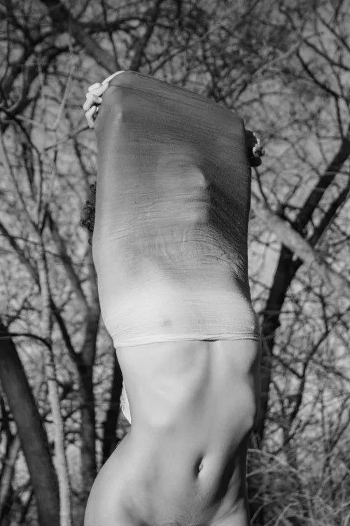 Letting the cage out of the bird