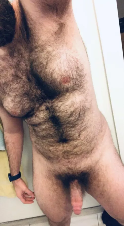 Letting the forest breathe before the work