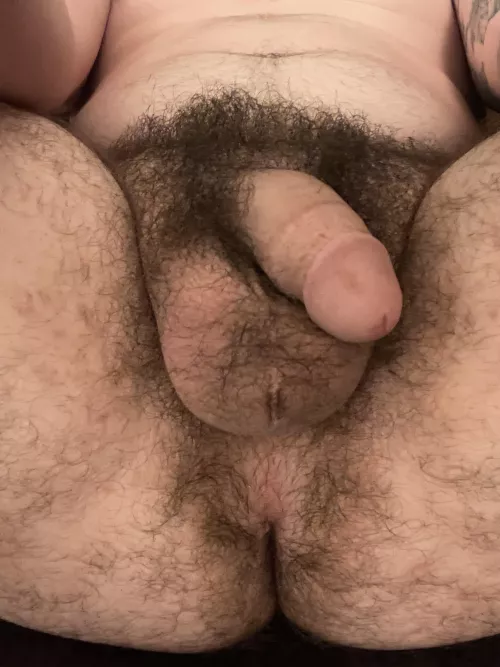 Letting things grow out. What do ya think?