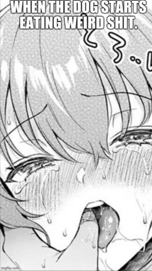 LF Mono Source: 1girl, Blush, Tears, Drool, Bangs, Close up,