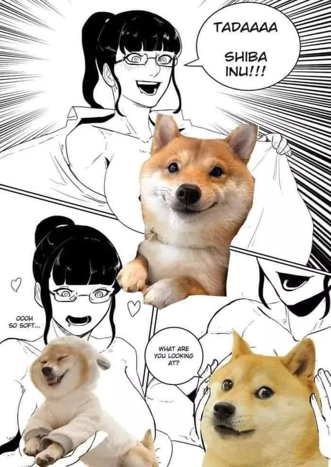 LF Mono source: 1girl, shirt, big boobs, touching boobs, glasses, “TADA SHIBA INU” “Ooh so soft” “What are you looking at ?”