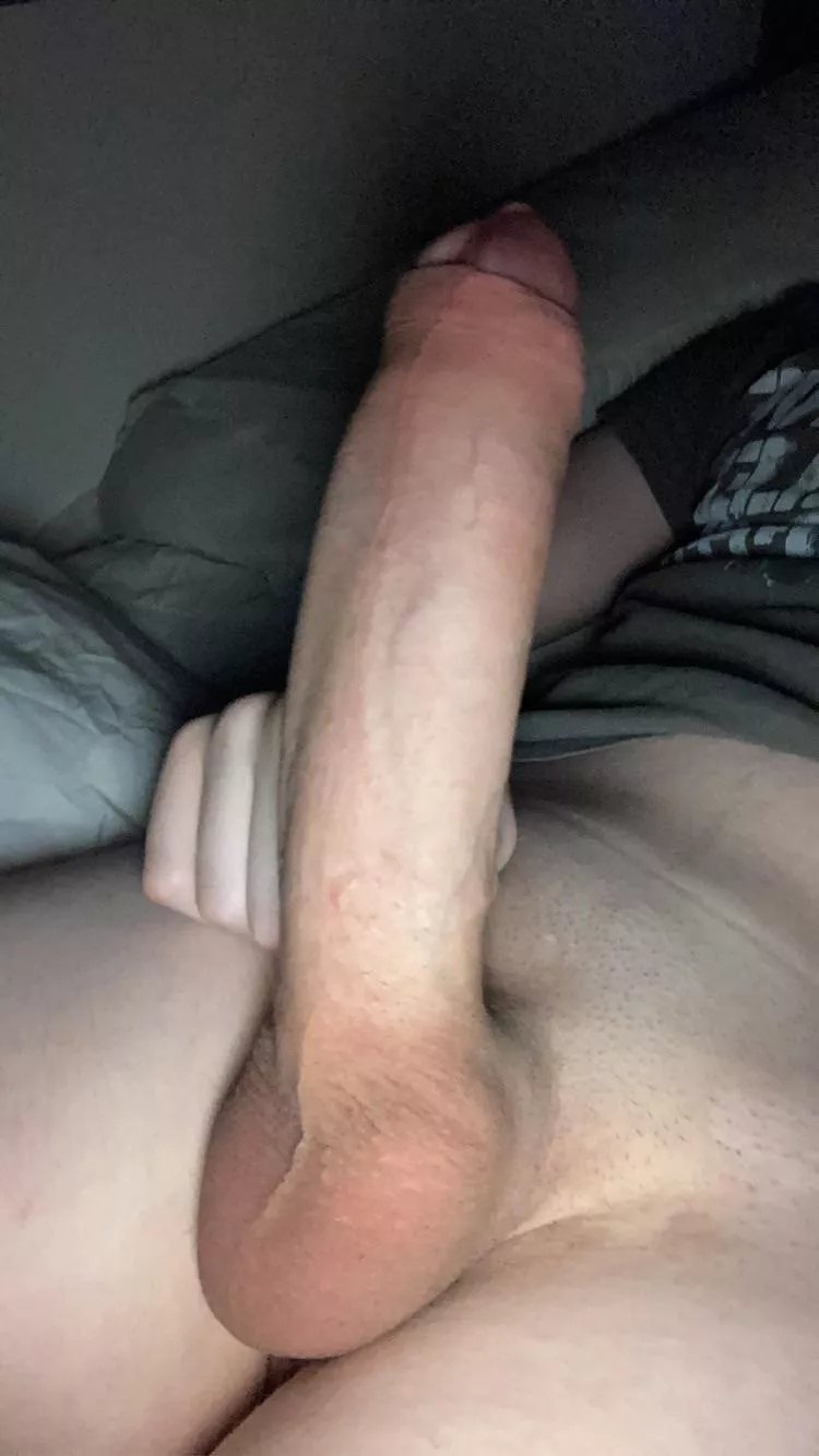 Lick it from my balls to the tip