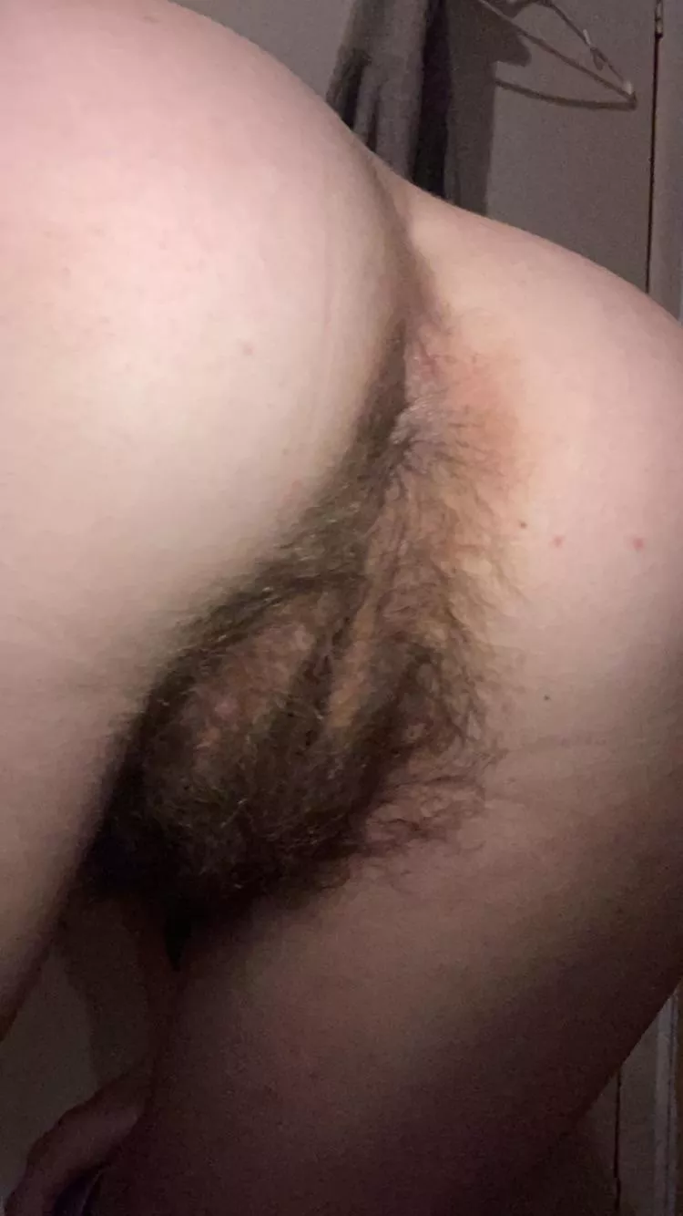 lick me then fuck me, please.