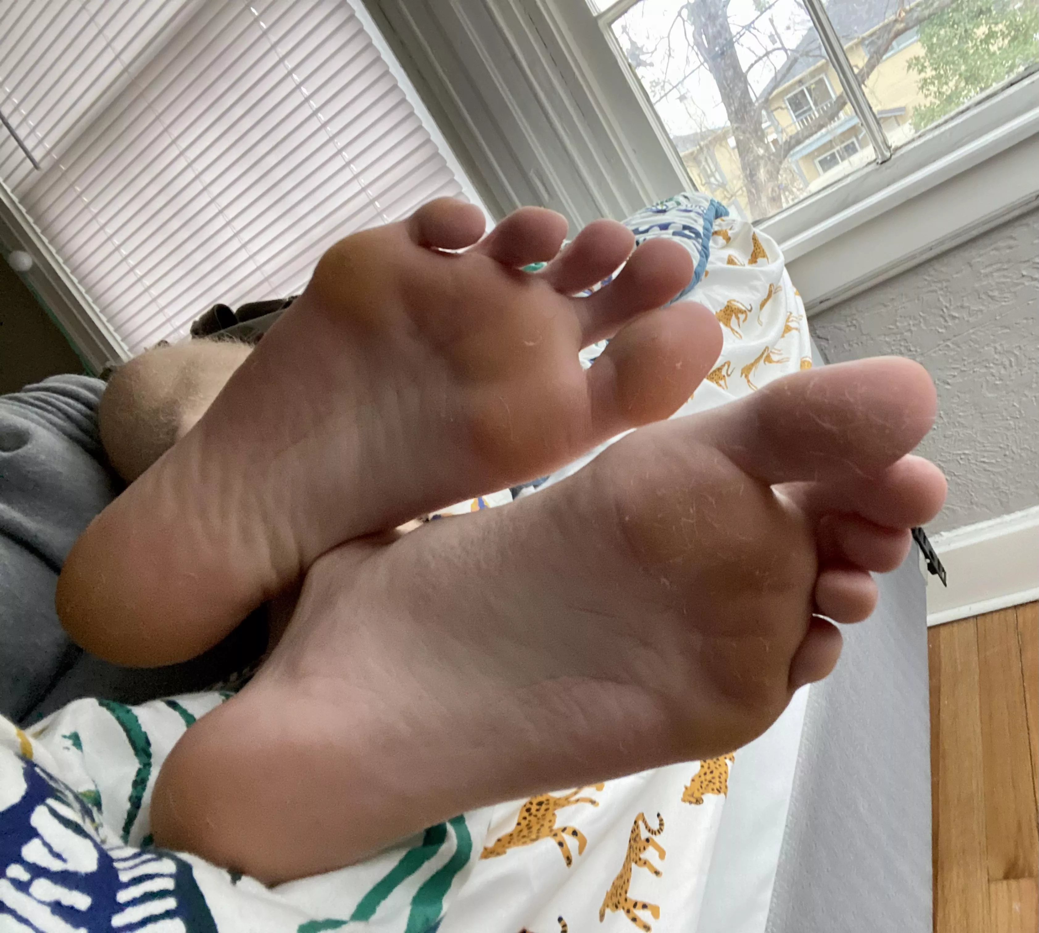Lick the fuzz from my socks off of these feet, and then worship like it’s your only purpose.