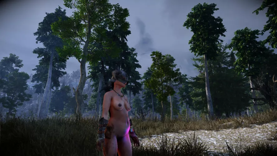 Life of an adventurer