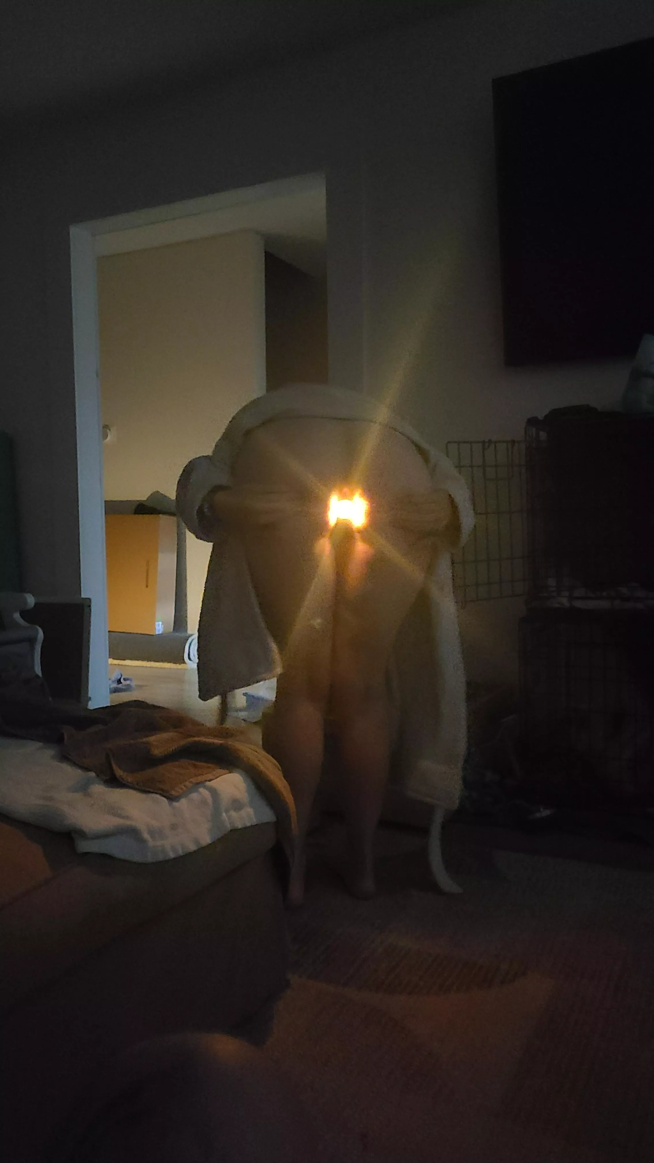 Light plug is like a guiding light for my pussy Light plug is like a guiding light for my pussy