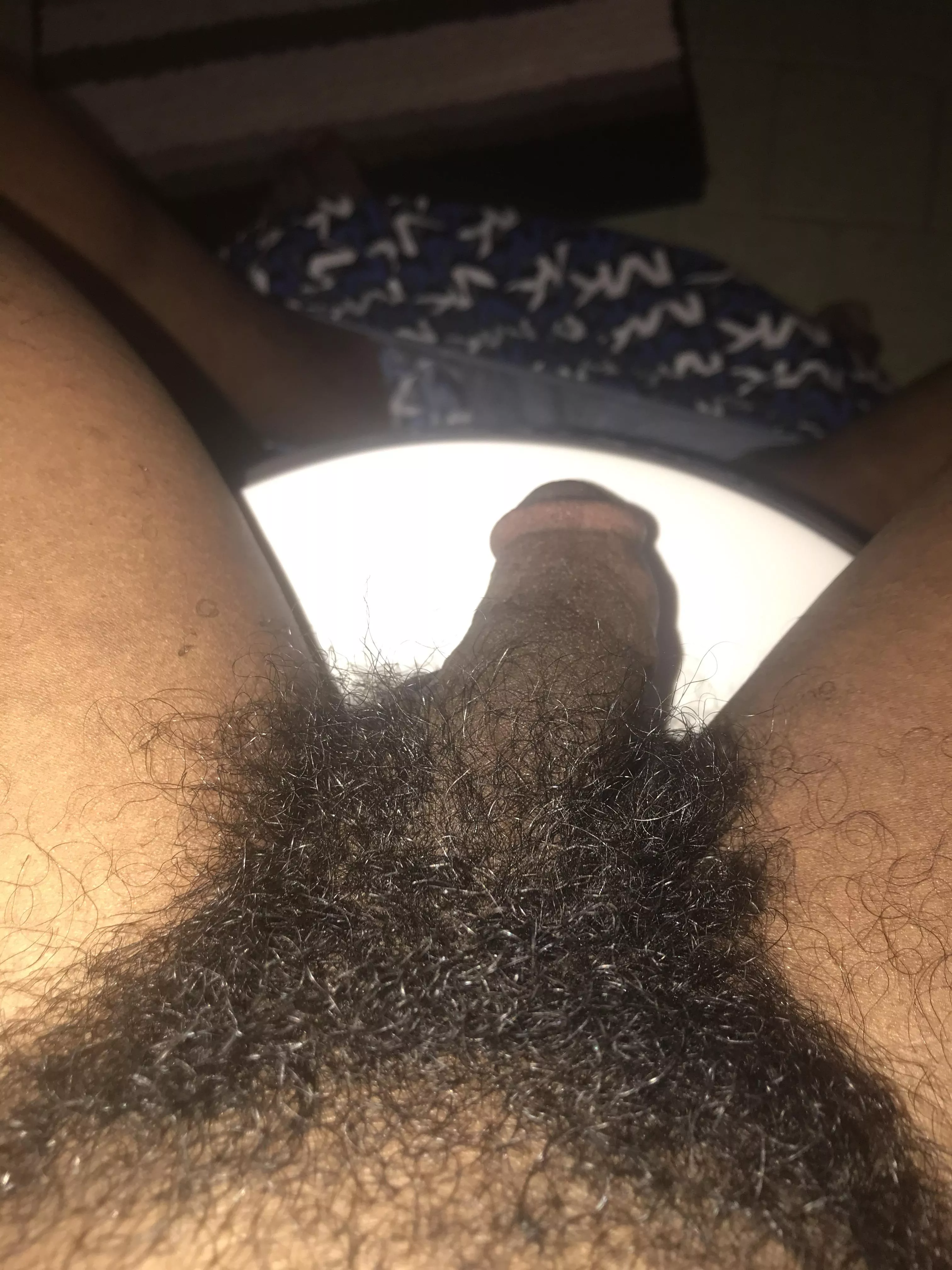 Like my bush? (First post here)