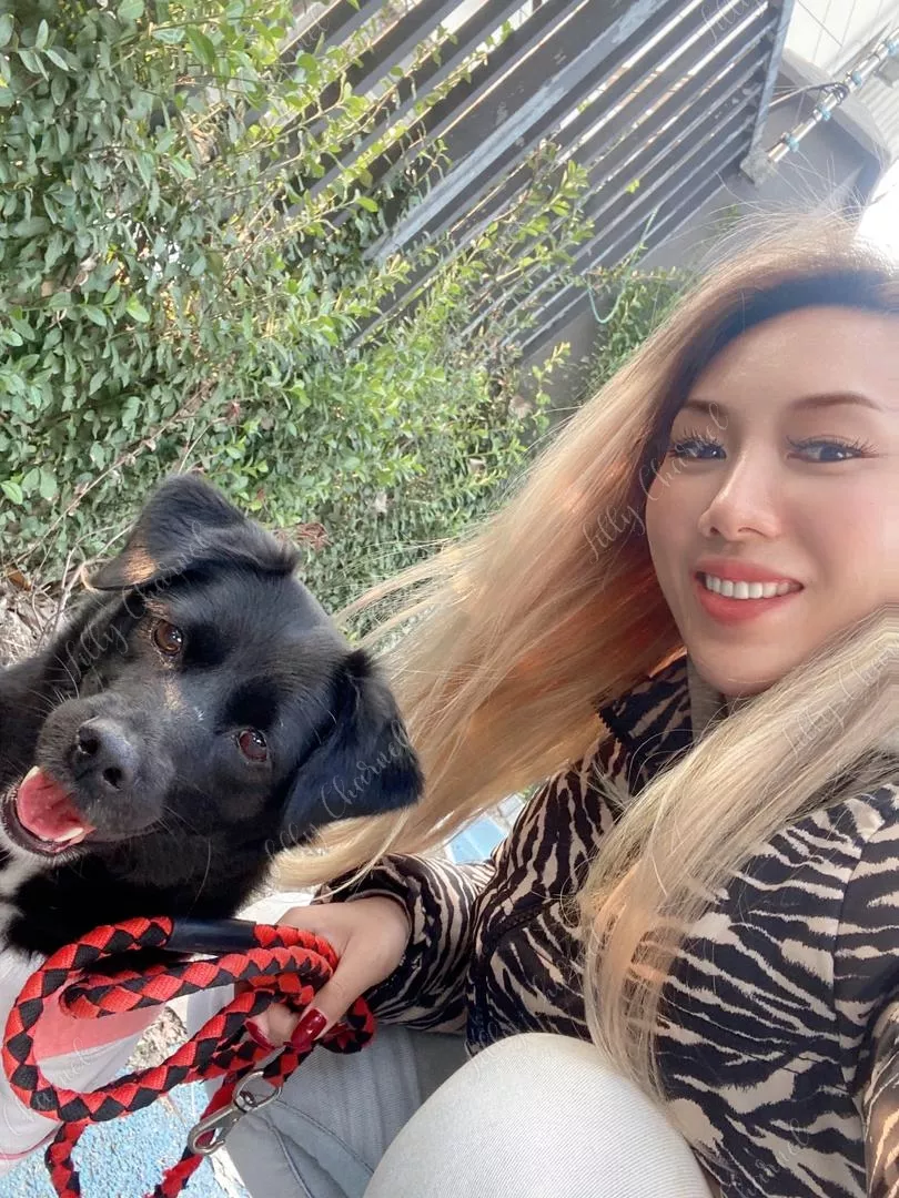 ❤️ Lilly CHARNEL - fashion & lingerie model. Posting contents regularly ❤️ ❤️ Lilly CHARNEL - fashion & lingerie model. Posting contents regularly ❤️